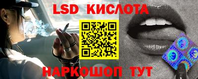 шишки Будённовск