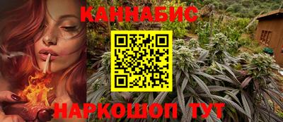 шишки Будённовск