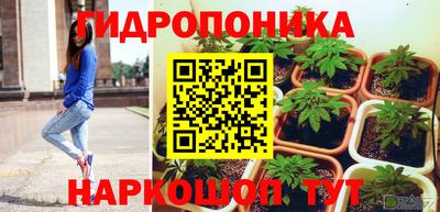 шишки Будённовск