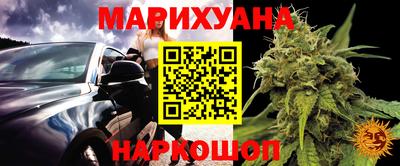 шишки Будённовск