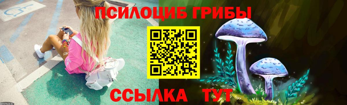 купить наркотик  Псилоцибиновые грибы Psilocybe  Вход с VPN  Галлюциногенные грибы мухоморы  Топки 